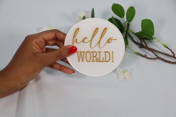 Disques jalons mensuels 1re année naissance bébé (plein)